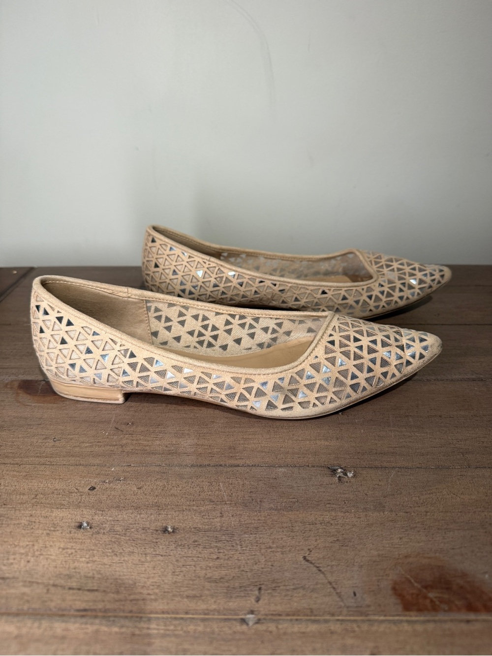 Aldo Neutral Beige Laser-Cut Pointed Toe Flats